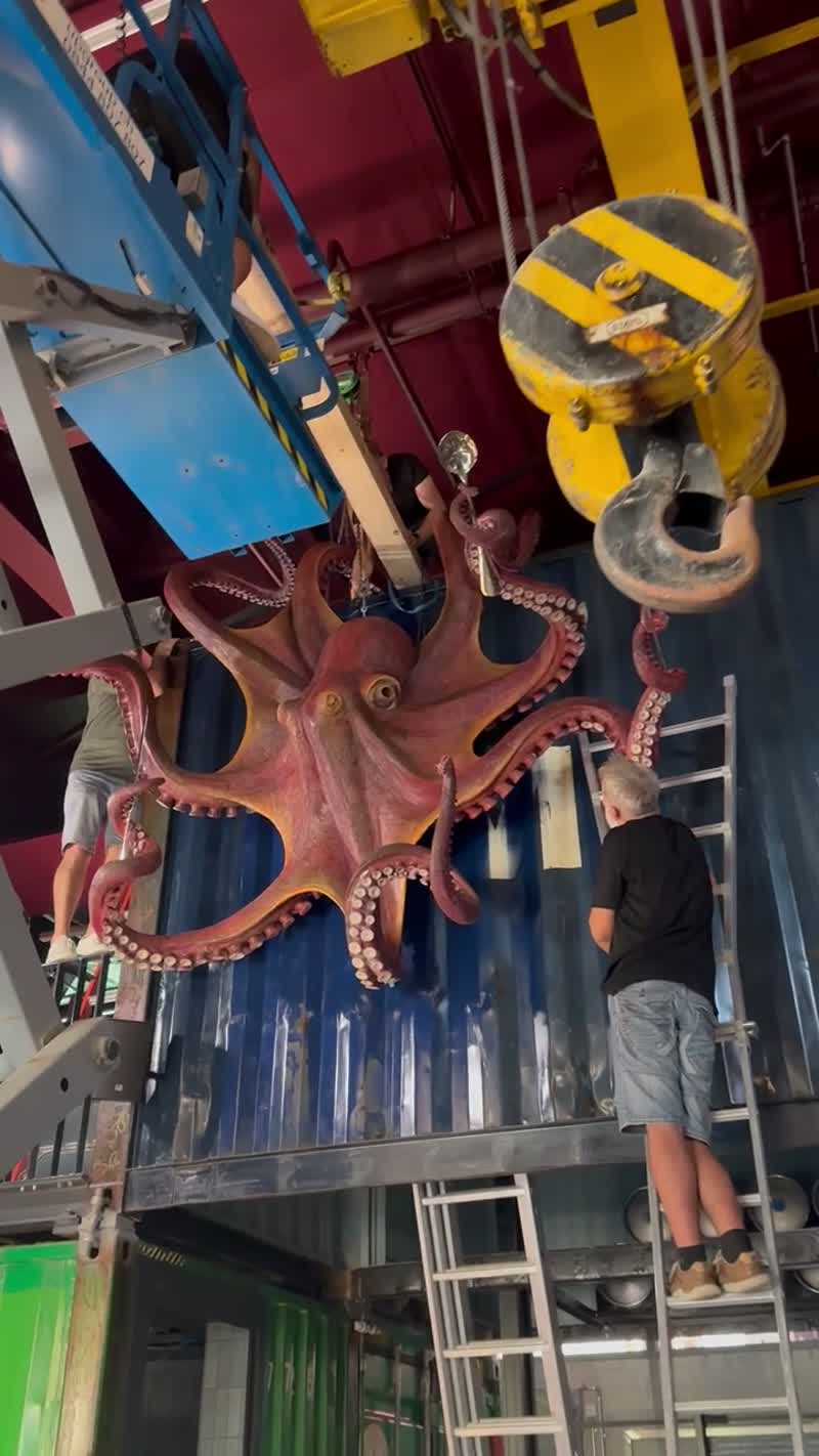 Der Einbau